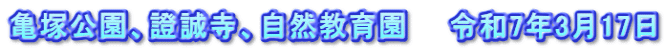 亀塚公園、證誠寺、自然教育園　　令和7年3月17日