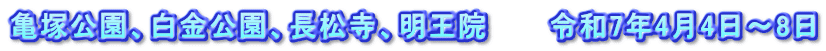 亀塚公園、白金公園、長松寺、明王院　　　令和7年4月4日～8日