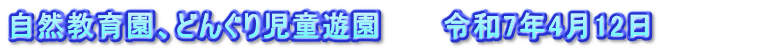 自然教育園、どんぐり児童遊園　　　令和7年4月12日　　　　　