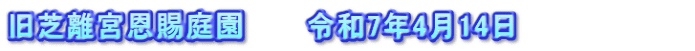 旧芝離宮恩賜庭園　　　令和7年4月14日　　　　　　　　