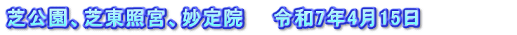 芝公園、芝東照宮、妙定院　　令和7年4月15日　　　　　　