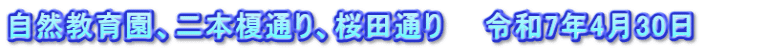 自然教育園、二本榎通り、桜田通り　　令和7年4月30日　　　