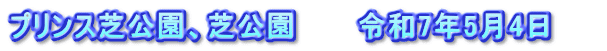 プリンス芝公園、芝公園　　　令和7年5月4日　　