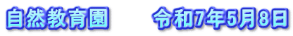 自然教育園　　　令和7年5月8日