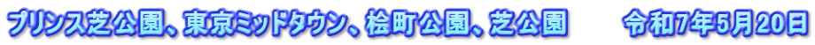 プリンス芝公園、東京ミッドタウン、桧町公園、芝公園　　　令和7年5月20日