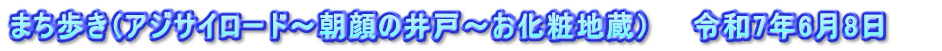 まち歩き（アジサイロード～朝顔の井戸～お化粧地蔵）　　令和7年6月8日　　