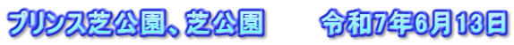 プリンス芝公園、芝公園　　　令和7年6月13日