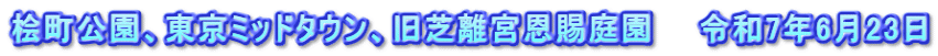 桧町公園、東京ミッドタウン、旧芝離宮恩賜庭園　　令和7年6月23日