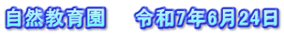 自然教育園　　令和7年6月24日