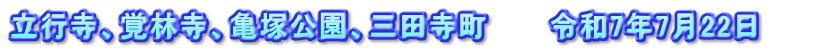 立行寺、覚林寺、亀塚公園、三田寺町　　　令和7年7月22日　　　