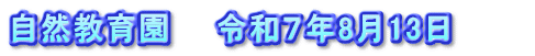 自然教育園　　令和７年8月13日　　　