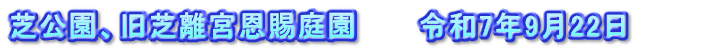 芝公園、旧芝離宮恩賜庭園　　　令和7年9月22日　　　