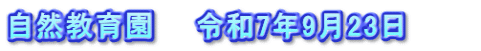 自然教育園　　令和7年9月23日　　　
