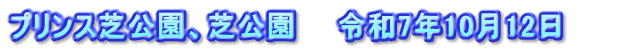 プリンス芝公園、芝公園　　令和7年10月12日　　　
