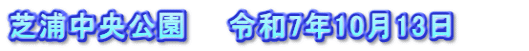 芝浦中央公園　　令和7年10月13日　　　