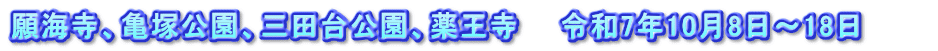 願海寺、亀塚公園、三田台公園、薬王寺　　令和7年10月8日～18日　　　