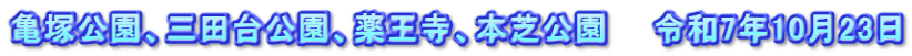 亀塚公園、三田台公園、薬王寺、本芝公園　　令和7年10月23日