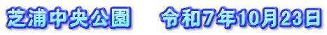 芝浦中央公園　　令和７年10月23日