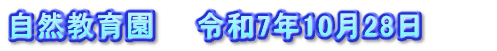 自然教育園　　令和7年10月28日　　　