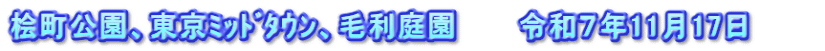 桧町公園、東京ﾐｯﾄﾞﾀｳﾝ、毛利庭園　　　令和７年11月17日　　　