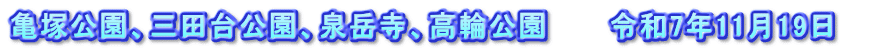 亀塚公園、三田台公園、泉岳寺、高輪公園　　　令和7年11月19日　