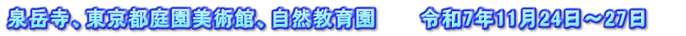 泉岳寺、東京都庭園美術館、自然教育園　　　令和7年11月24日～27日　　