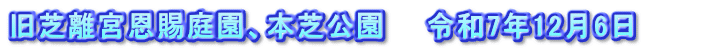 旧芝離宮恩賜庭園、本芝公園　　令和7年12月6日　　　