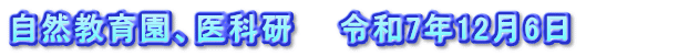 自然教育園、医科研　　令和7年12月6日　　　　　