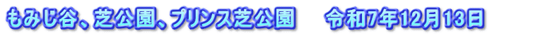 もみじ谷、芝公園、プリンス芝公園　　令和7年12月13日　　　