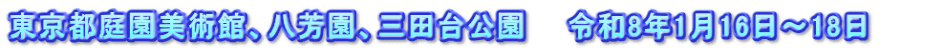 東京都庭園美術館、八芳園、三田台公園　　令和8年1月16日～18日　　　
