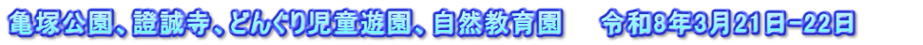 亀塚公園、證誠寺、どんぐり児童遊園、自然教育園　　令和8年3月21日-22日　　　