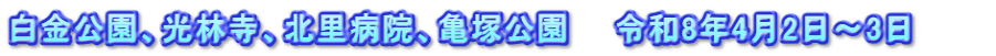 白金公園、光林寺、北里病院、亀塚公園　　令和8年4月2日～3日　　　
