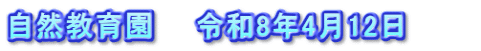 自然教育園　　令和8年4月12日　　　
