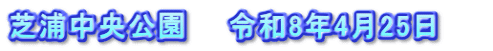 芝浦中央公園　　令和8年4月25日　　