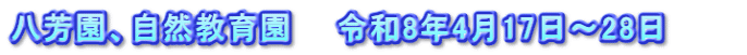 八芳園、自然教育園　　令和8年4月17日～28日　　　