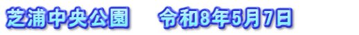 芝浦中央公園　　令和8年5月7日　　　　