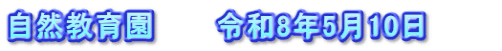 自然教育園　　　令和8年5月10日　　　