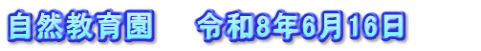 自然教育園　　令和8年6月16日　　　