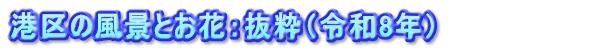 港区の風景とお花：抜粋（令和8年）　　　　　　　　