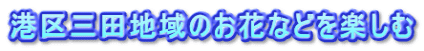 港区三田地域のお花などを楽しむ
